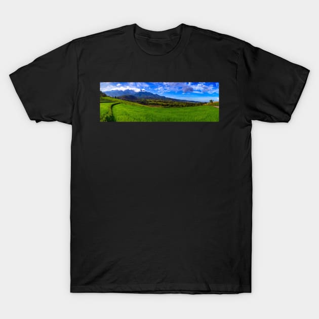 Philippine Highlands T-Shirt by likbatonboot